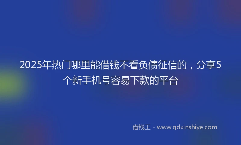 2025年热门哪里能借钱不看负债征信的，分享5个新手机号容易下款的平台