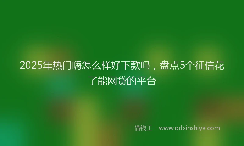 2025年热门嗨怎么样好下款吗，盘点5个征信花了能网贷的平台