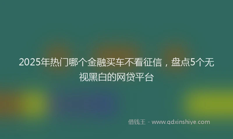2025年热门哪个金融买车不看征信，盘点5个无视黑白的网贷平台
