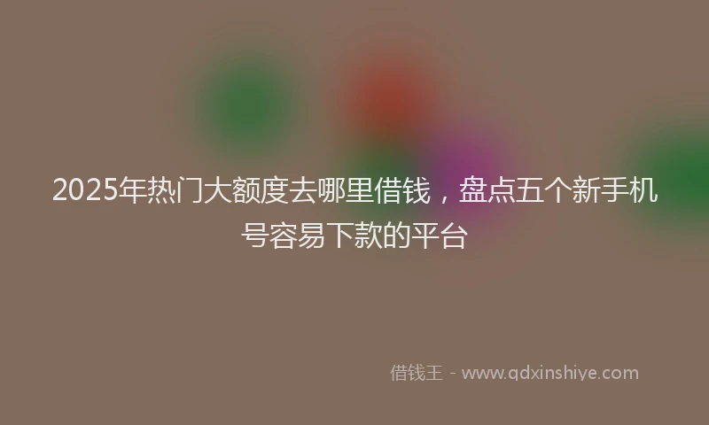 2025年热门大额度去哪里借钱，盘点五个新手机号容易下款的平台
