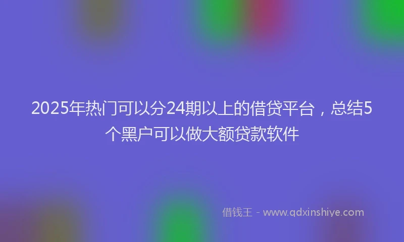 2025年热门可以分24期以上的借贷平台，总结5个黑户可以做大额贷款软件