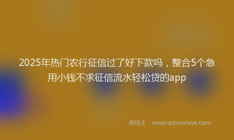 2025年热门农行征信过了好下款吗，整合5个急用小钱不求征信流水轻松贷的app