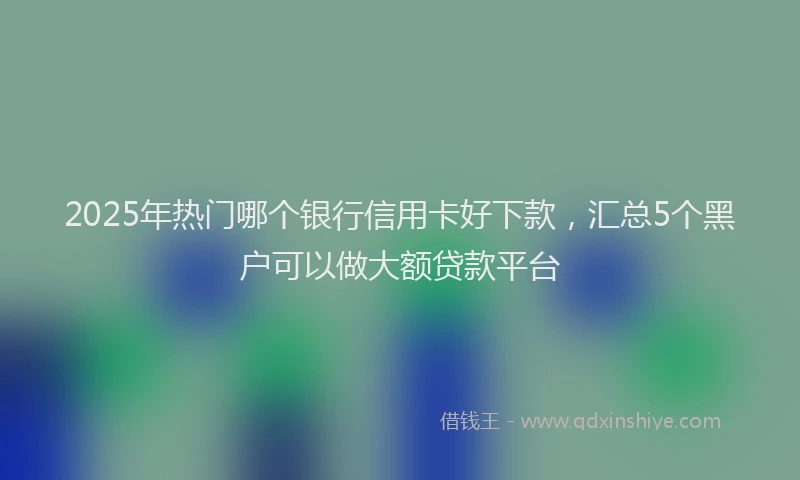 2025年热门哪个银行信用卡好下款，汇总5个黑户可以做大额贷款平台