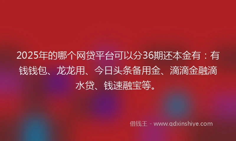 2025年的哪个网贷平台可以分36期还本金有：有钱钱包、龙龙用、今日头条备用金、滴滴金融滴水贷、钱速融宝等。