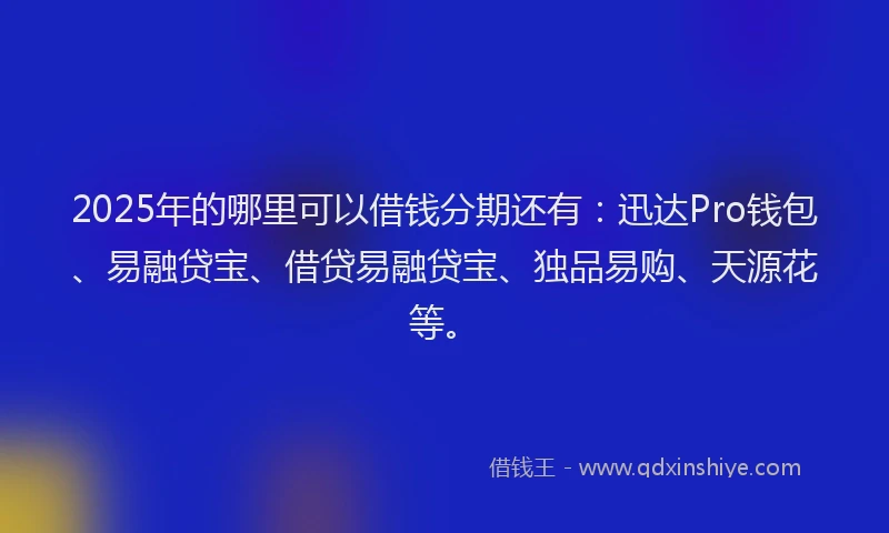 2025年的哪里可以借钱分期还有：迅达Pro钱包、易融贷宝、借贷易融贷宝、独品易购、天源花等。