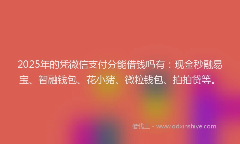2025年的凭微信支付分能借钱吗有：现金秒融易宝、智融钱包、花小猪、微粒钱包、拍拍贷等。