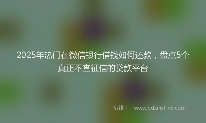 2025年热门在微信银行借钱如何还款，盘点5个真正不查征信的贷款平台
