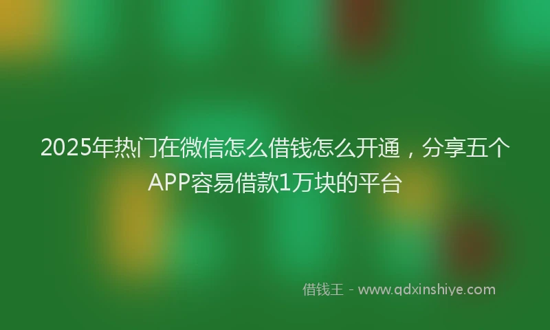 2025年热门在微信怎么借钱怎么开通，分享五个APP容易借款1万块的平台