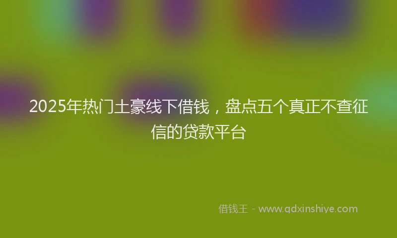 2025年热门土豪线下借钱，盘点五个真正不查征信的贷款平台