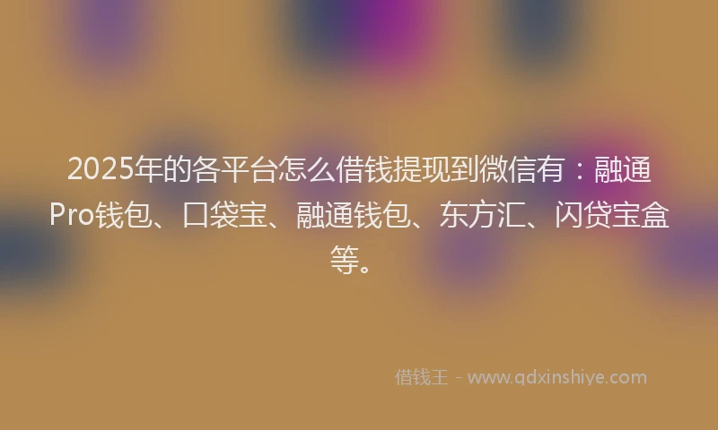 2025年的各平台怎么借钱提现到微信有：融通Pro钱包、口袋宝、融通钱包、东方汇、闪贷宝盒等。