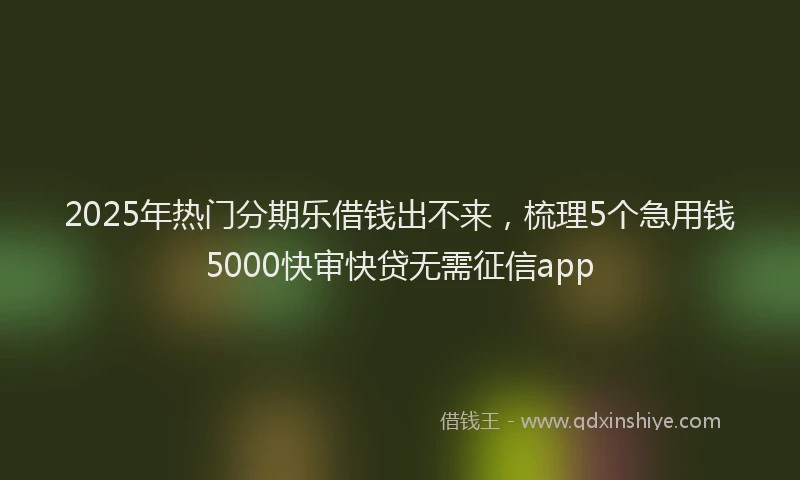 2025年热门分期乐借钱出不来，梳理5个急用钱5000快审快贷无需征信app