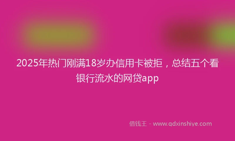 2025年热门刚满18岁办信用卡被拒，总结五个看银行流水的网贷app