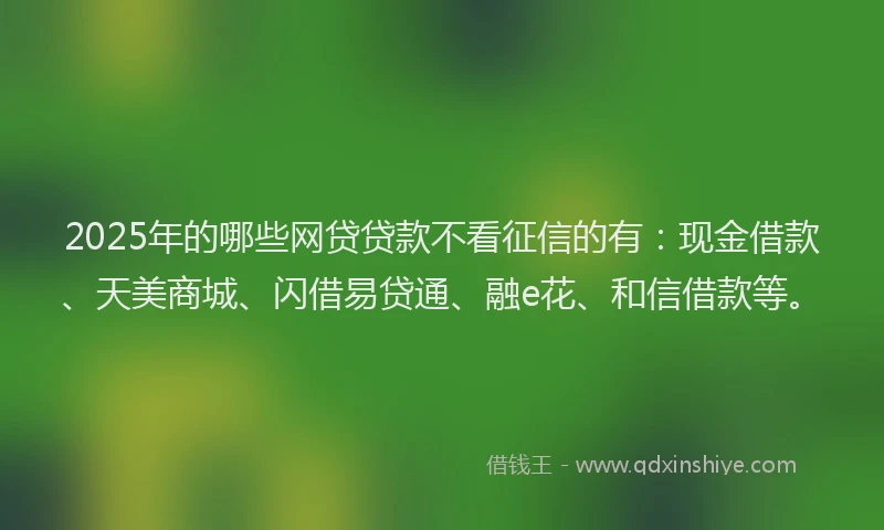 2025年的哪些网贷贷款不看征信的有：现金借款、天美商城、闪借易贷通、融e花、和信借款等。