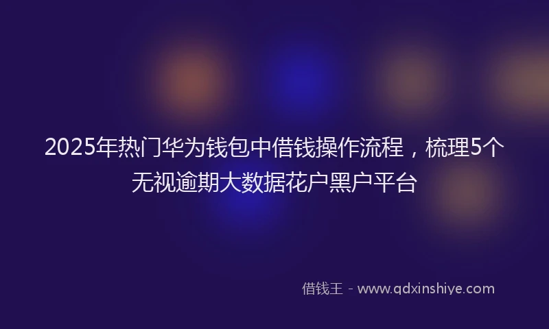 2025年热门华为钱包中借钱操作流程，梳理5个无视逾期大数据花户黑户平台