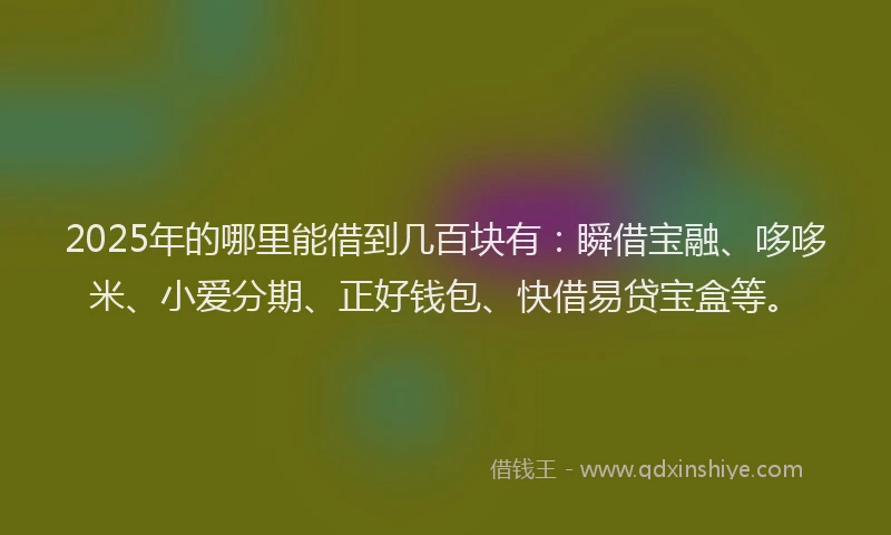 2025年的哪里能借到几百块有：瞬借宝融、哆哆米、小爱分期、正好钱包、快借易贷宝盒等。