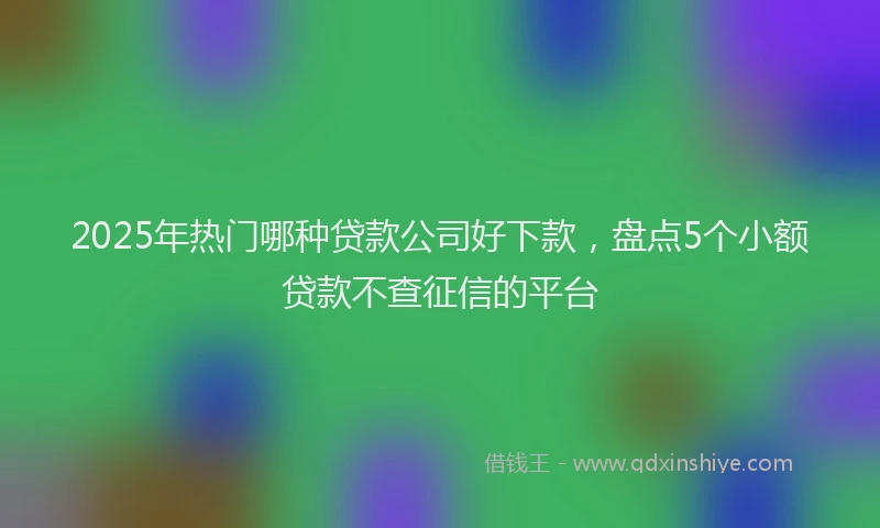 2025年热门哪种贷款公司好下款，盘点5个小额贷款不查征信的平台