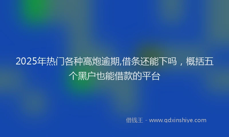 2025年热门各种高炮逾期,借条还能下吗，概括五个黑户也能借款的平台