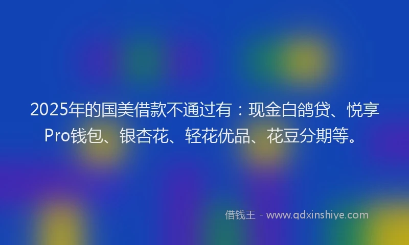 2025年的国美借款不通过有：现金白鸽贷、悦享Pro钱包、银杏花、轻花优品、花豆分期等。