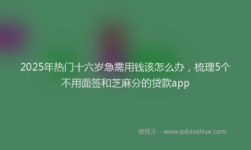 2025年热门十六岁急需用钱该怎么办，梳理5个不用面签和芝麻分的贷款app