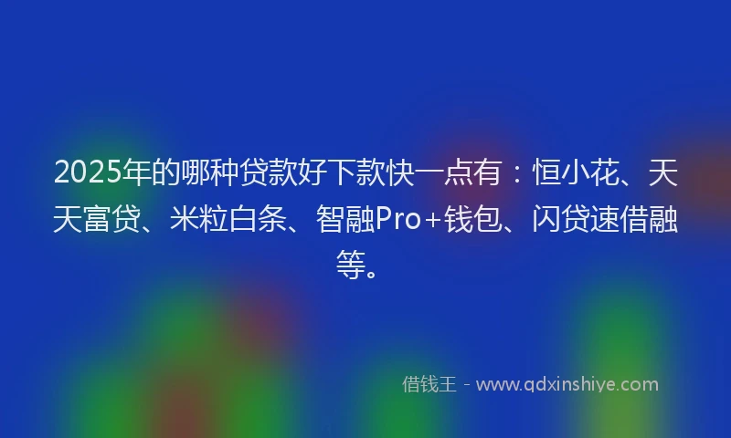 2025年的哪种贷款好下款快一点有：恒小花、天天富贷、米粒白条、智融Pro+钱包、闪贷速借融等。