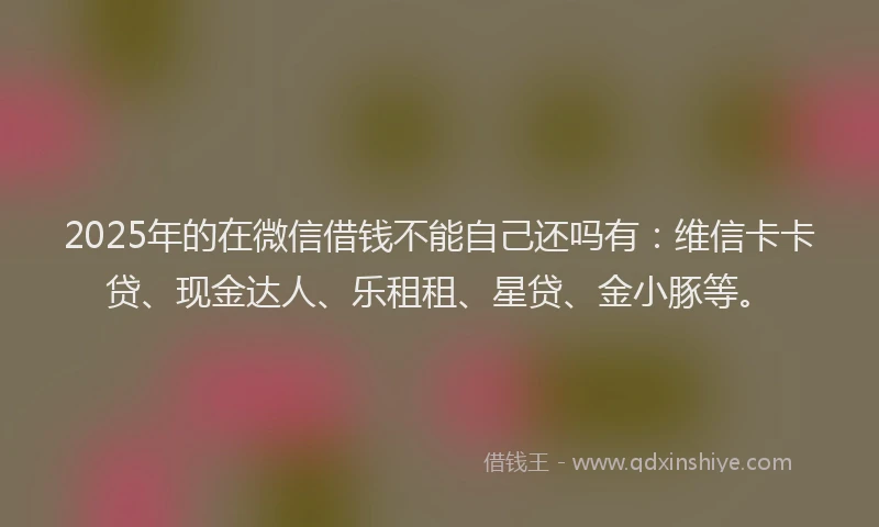 2025年的在微信借钱不能自己还吗有：维信卡卡贷、现金达人、乐租租、星贷、金小豚等。