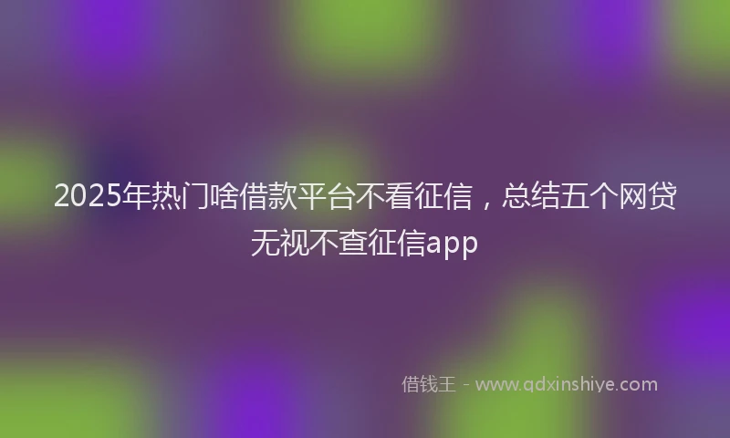 2025年热门啥借款平台不看征信，总结五个网贷无视不查征信app
