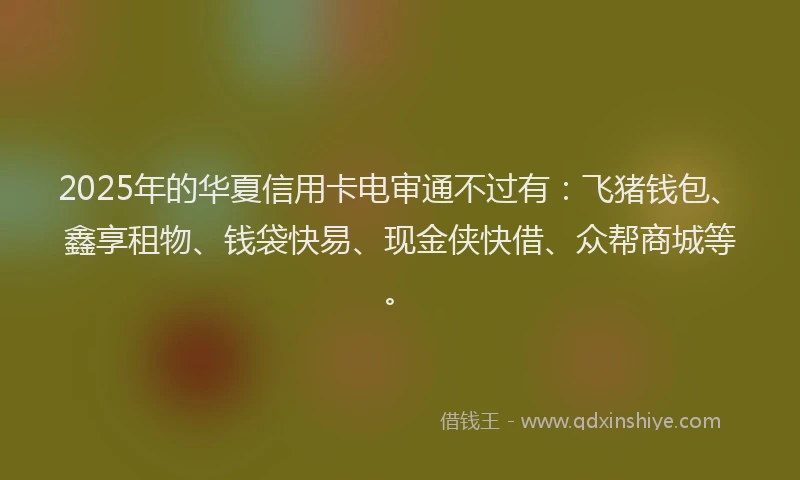 2025年的华夏信用卡电审通不过有：飞猪钱包、鑫享租物、钱袋快易、现金侠快借、众帮商城等。