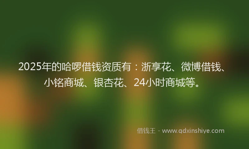 2025年的哈啰借钱资质有：浙享花、微博借钱、小铭商城、银杏花、24小时商城等。