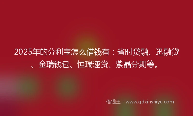 2025年的分利宝怎么借钱有：省时贷融、迅融贷、金瑞钱包、恒瑞速贷、紫晶分期等。