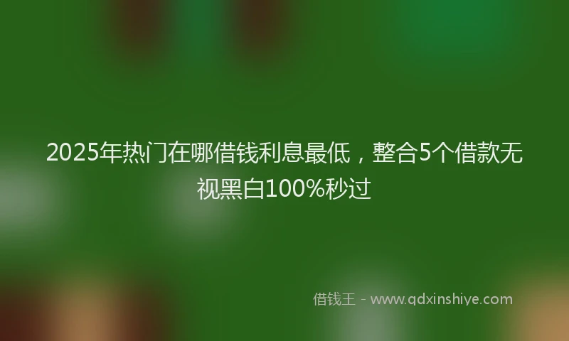 2025年热门在哪借钱利息最低，整合5个借款无视黑白100%秒过