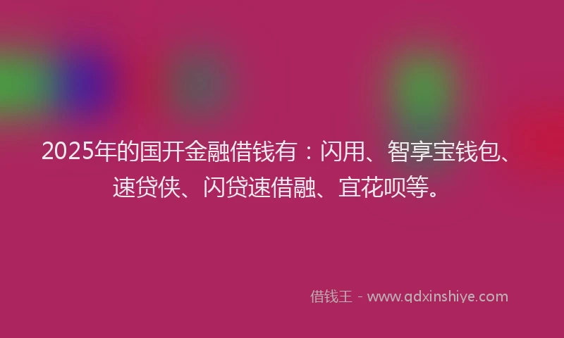 2025年的国开金融借钱有：闪用、智享宝钱包、速贷侠、闪贷速借融、宜花呗等。