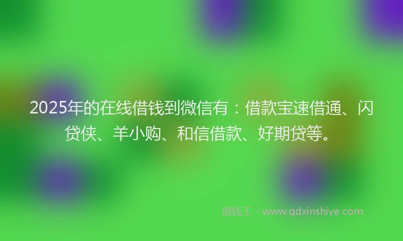 2025年的在线借钱到微信有：借款宝速借通、闪贷侠、羊小购、和信借款、好期贷等。