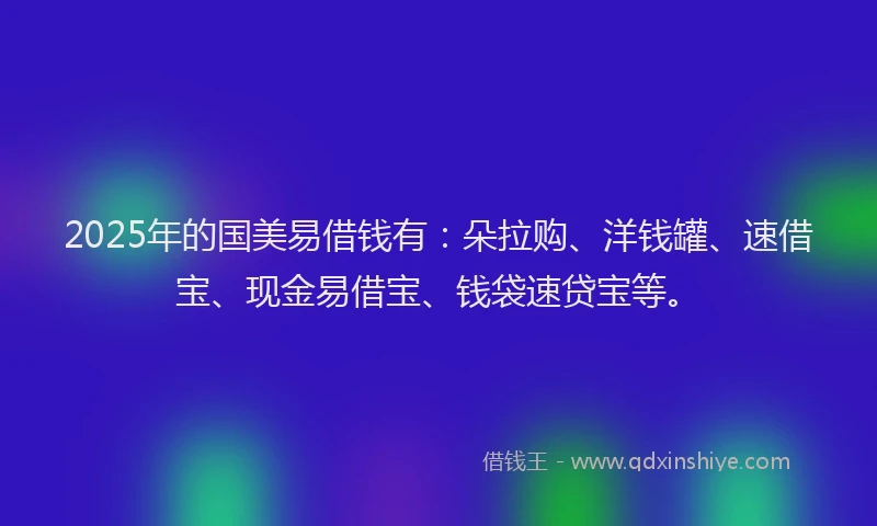 2025年的国美易借钱有：朵拉购、洋钱罐、速借宝、现金易借宝、钱袋速贷宝等。