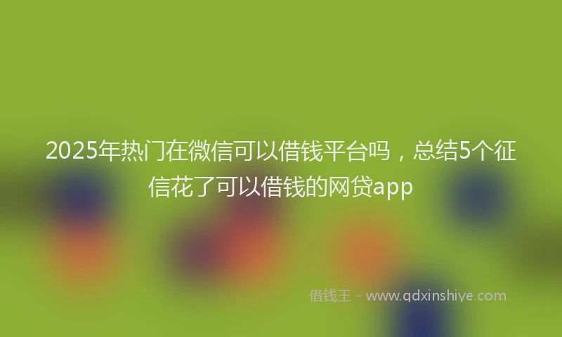 2025年热门在微信可以借钱平台吗，总结5个征信花了可以借钱的网贷app