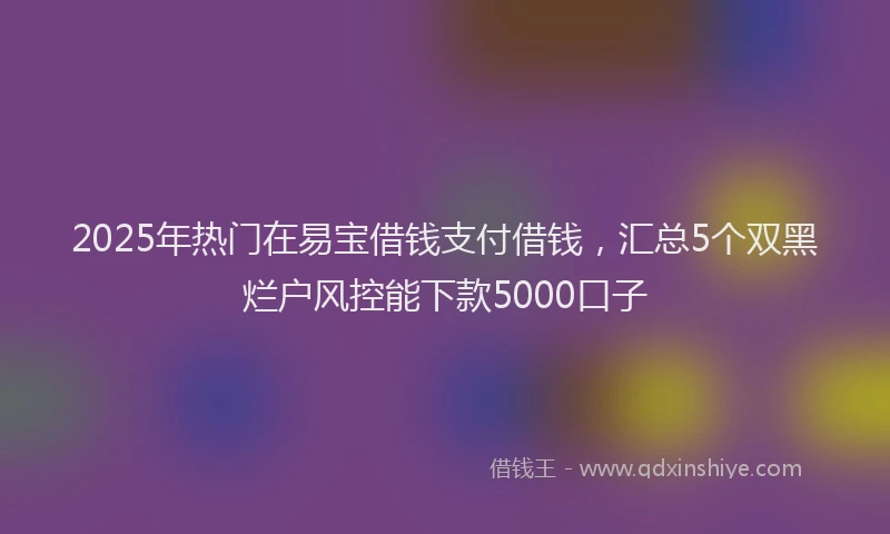 2025年热门在易宝借钱支付借钱，汇总5个双黑烂户风控能下款5000口子