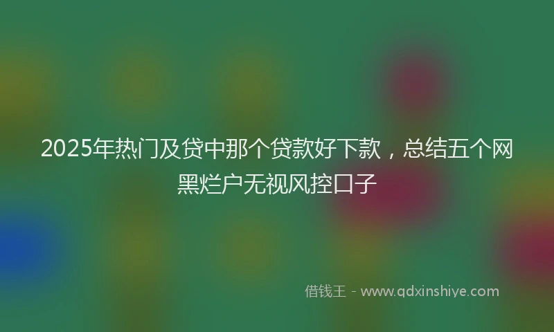 2025年热门及贷中那个贷款好下款，总结五个网黑烂户无视风控口子