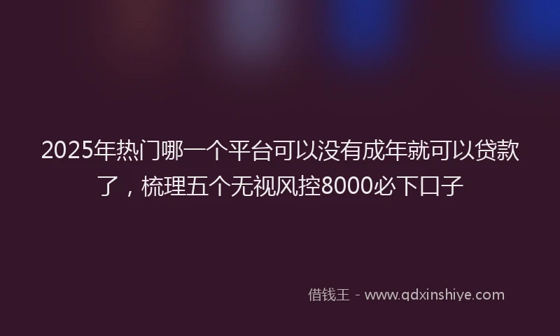 2025年热门哪一个平台可以没有成年就可以贷款了，梳理五个无视风控8000必下口子