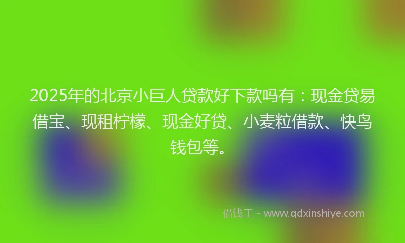 2025年的北京小巨人贷款好下款吗有：现金贷易借宝、现租柠檬、现金好贷、小麦粒借款、快鸟钱包等。