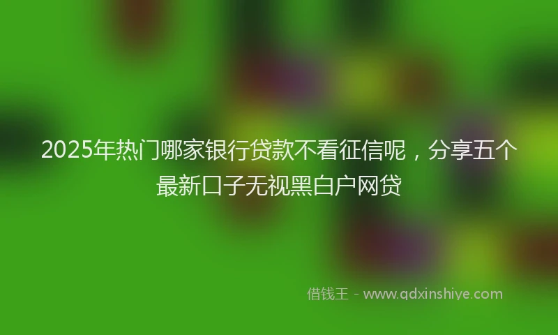 2025年热门哪家银行贷款不看征信呢，分享五个最新口子无视黑白户网贷