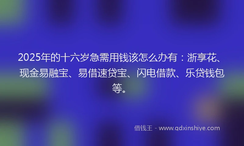 2025年的十六岁急需用钱该怎么办有：浙享花、现金易融宝、易借速贷宝、闪电借款、乐贷钱包等。