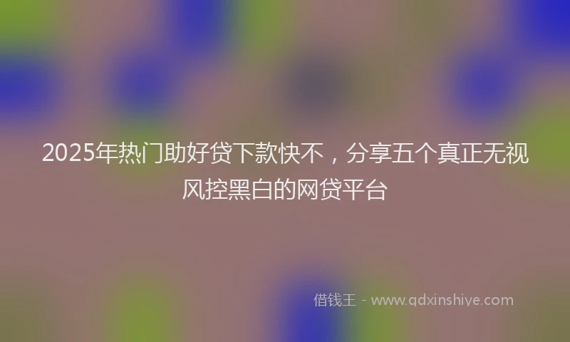 2025年热门助好贷下款快不，分享五个真正无视风控黑白的网贷平台