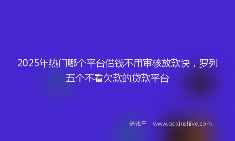 2025年热门哪个平台借钱不用审核放款快，罗列五个不看欠款的贷款平台