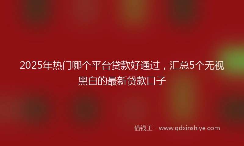 2025年热门哪个平台贷款好通过，汇总5个无视黑白的最新贷款口子