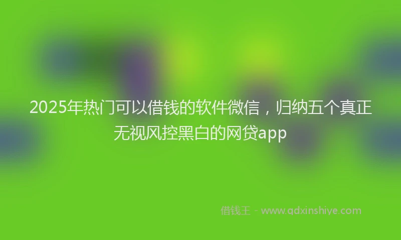 2025年热门可以借钱的软件微信，归纳五个真正无视风控黑白的网贷app