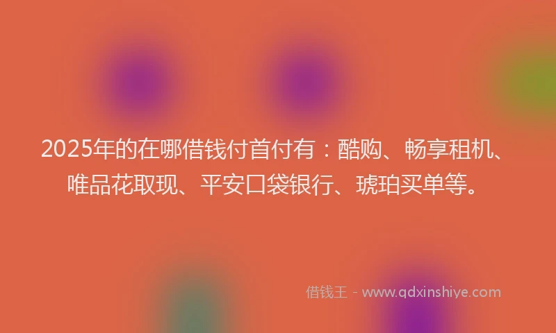 2025年的在哪借钱付首付有：酷购、畅享租机、唯品花取现、平安口袋银行、琥珀买单等。
