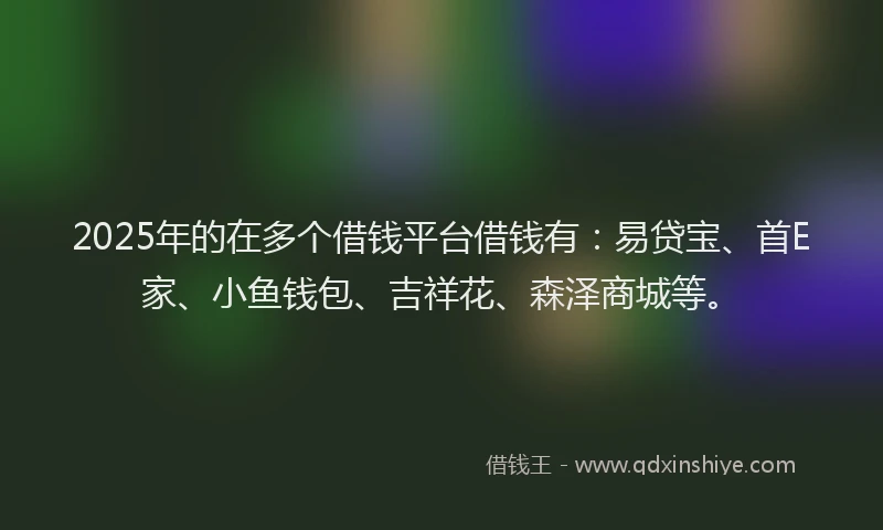 2025年的在多个借钱平台借钱有：易贷宝、首E家、小鱼钱包、吉祥花、森泽商城等。