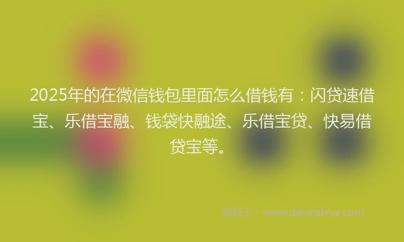 2025年的在微信钱包里面怎么借钱有：闪贷速借宝、乐借宝融、钱袋快融途、乐借宝贷、快易借贷宝等。