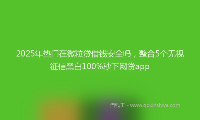 2025年热门在微粒贷借钱安全吗，整合5个无视征信黑白100%秒下网贷app