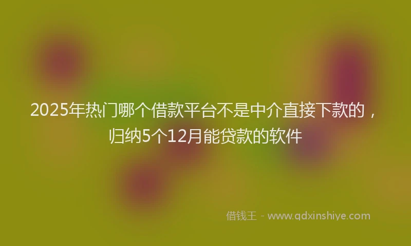 2025年热门哪个借款平台不是中介直接下款的，归纳5个12月能贷款的软件