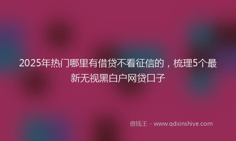 2025年热门哪里有借贷不看征信的，梳理5个最新无视黑白户网贷口子